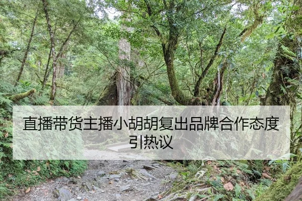 直播带货主播小胡胡复出品牌合作态度引热议